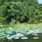 Houston County Lake
