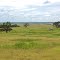 **Puzzlewood Ranch**