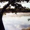 Glovers Lake 1982