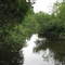 Bear Creek