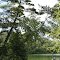 Horseshoe Lake