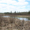Stream near Breezy Point, MN