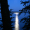 Moonlight Over Upper Whitefish