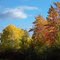 Crazy Rainbow of Fall Colors along Road to Big Falls