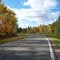 Sun Dappled Road