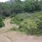 South Fork,  American River Trail
