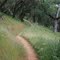 South Fork,  American River Trail