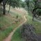 South Fork,  American River Trail