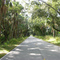 Martin County Highway