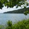 In Pillsbury Forest viewing Gull Lake