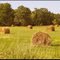Hay Bale Harvest