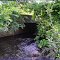 The Aberjona River Emerges from Beneath Mishawum Rd