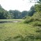 Mosquito Lake - Grass on dry lake bed