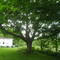 The Inn at Brandywine Falls