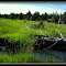 Old Homestead by the Meadow, on the Ranch