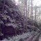 The Moss Cove