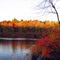fall colors @ the dusk..
