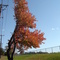 In front of Andover High School