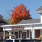 Fall 2006 in Andover