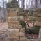 Former Springhouse, Lake Trail, Raccoon Creek State Park