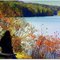 Autumn View