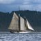 Tall Ship Schooner