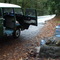 Calistoga Spring free water
