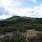 Mt. St. Helena from KBBF Tower
