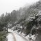 Hiking up the Mt St Helena trail