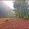 R.L. Stevenson State Park Trail Hike