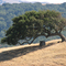Ridge West of Martinez