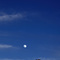 Moon Over Steamboat