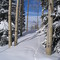Tracks