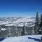 Trees, Snow, and Mountains