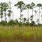 DuPuis Management Area
