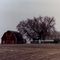 Farm
