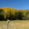 Fall Color In William O'Brien State Park