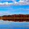Reflection