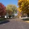 Foliage in Mackinaw