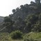 Looking west from San Martinez Grande Canyon Road, Castaic, CA 91384
