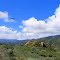 Beautiful Lake Huges Rd. east of Lake Castaic.