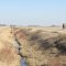 Mar 2012 - Jeffers, Minnesota. Small barn on a farm in southwestern Minnesota.