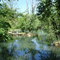 Springfield, MO. Zoo