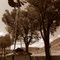 Sepia Wind