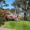 Mendocino Coast Botanical Garden