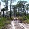 Trail/Road View