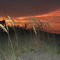 North Beach Road Sunset