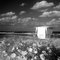 Windy January day, Hobe sound