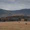 Missouri Country Side View