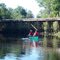 Ogeechee River in July